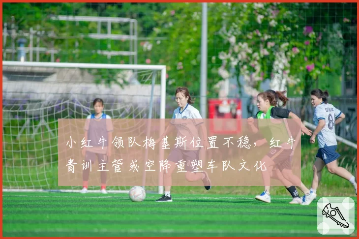 小红牛领队梅基斯位置不稳,红牛青训主管或空降重塑车队文化