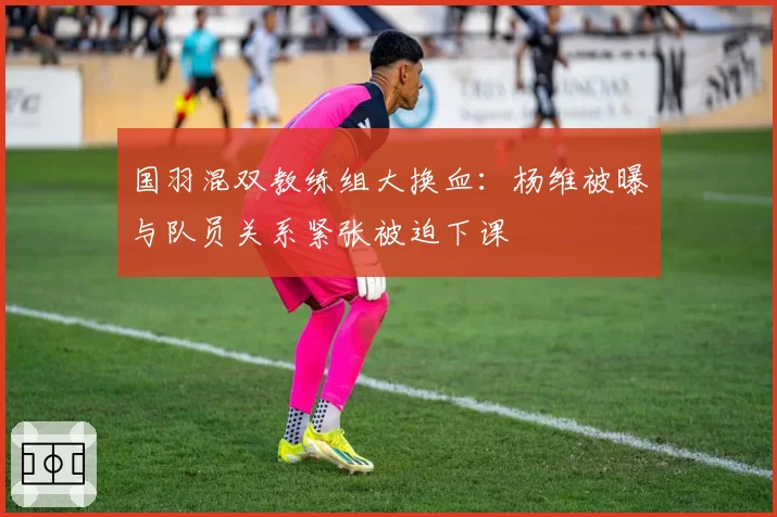 国羽混双教练组大换血：杨维被曝与队员关系紧张被迫下课